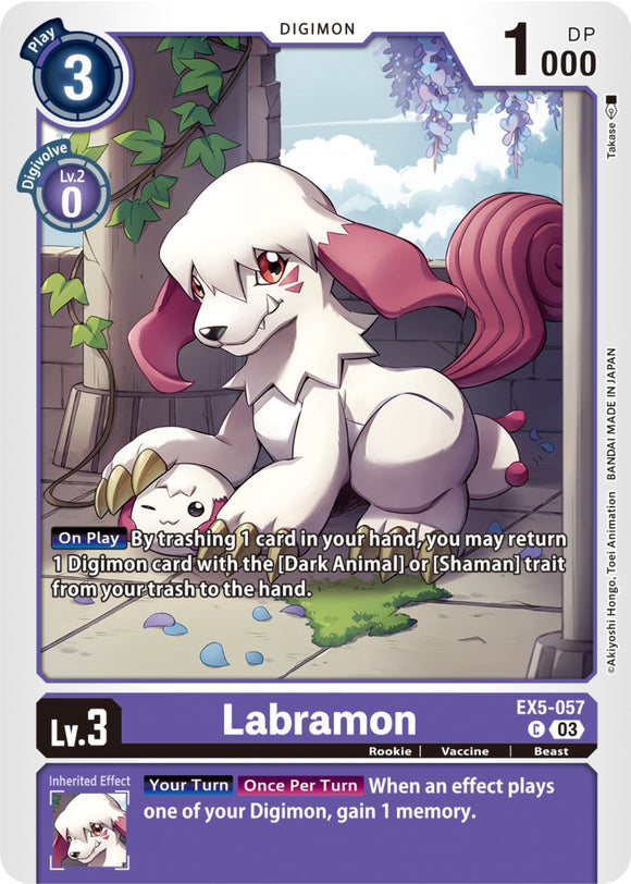 Labramon [EX5-057] [Animal Colosseum]