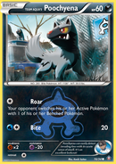 Team Aqua's Poochyena (16/34) [XY: Double Crisis] 