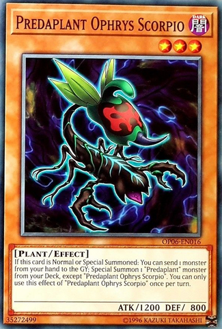 Predaplant Ophrys Scorpio [OP06-EN016] Common 