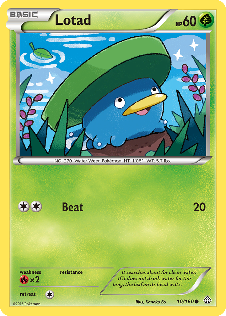 Lotad (10/160) [XY: Primal Clash] 