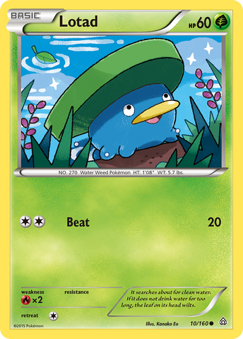 Lotad (10/160) [XY: Primal Clash] 