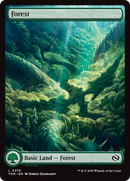 Forest (0276) [Tarkir: Dragonstorm] 