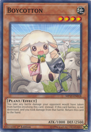 Boycott [MP19-EN018] Common 