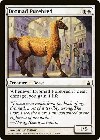 Dromad Purebred [Ravnica: City of Guilds] 