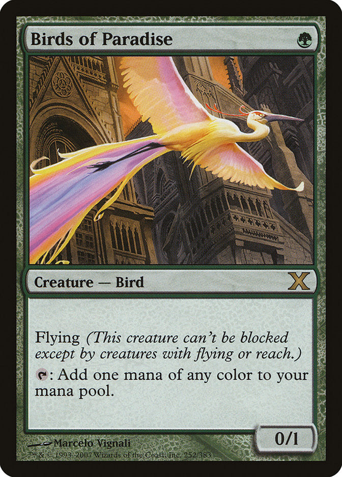 Birds of Paradise [Tenth Edition] 