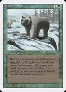 Grizzly Bears [Revised Edition] 