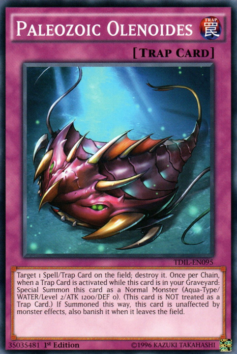 Paleozoic Olenoides [TDIL-EN095] Common 