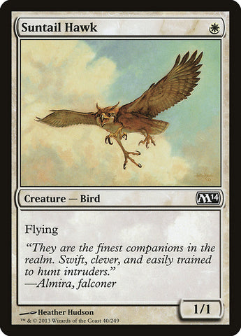 Suntail Hawk [Magic 2014] 