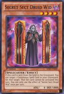 Secret Sect Druid Wid [SHSP-EN008] Common 