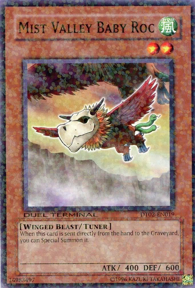 Mist Valley Baby Roc [DT02-EN019] Common 