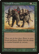 Trained Armodon [Tempest] 