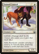 Trained Caracal [Return to Ravnica] 