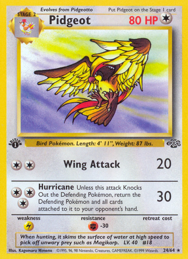 Pidgeot (24/64) [Jungle 1st Edition] 