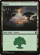 Forest (264) [Dragons of Tarkir] 