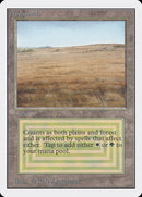 Savannah [Unlimited Edition] 