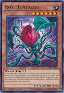 Rose Tentacles [LC5D-EN088] Rare 
