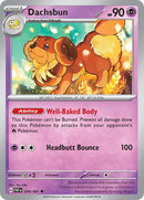 Dachsbun (039/091) [Scarlet &amp; Violet: Paldean Fates] 