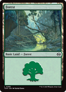 Forest (0285) [Tarkir: Dragonstorm] 