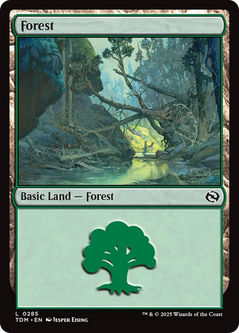 Forest (0285) [Tarkir: Dragonstorm] 