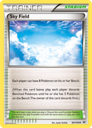 Sky Field (89/108) [XY: Roaring Skies] 
