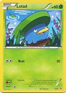 Lotad (11/30) [XY: Trainer Kit 2 - Latias] 