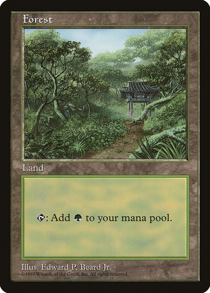 Forest (11) [Asia Pacific Land Program] 