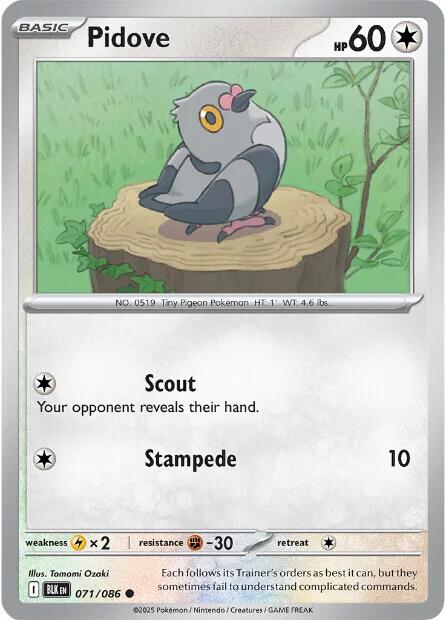Pidove (073/086) [Scarlet &amp; Violet: Black Bolt] 