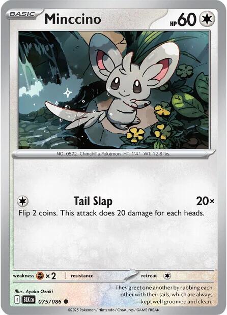 Minccino (077/086) [Scarlet &amp; Violet: Black Bolt] 