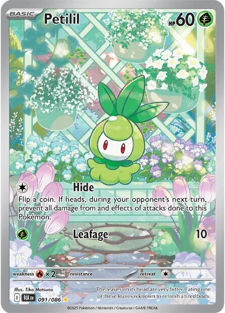 Petilil (091/086) [Scarlet &amp; Violet: Black Bolt] 