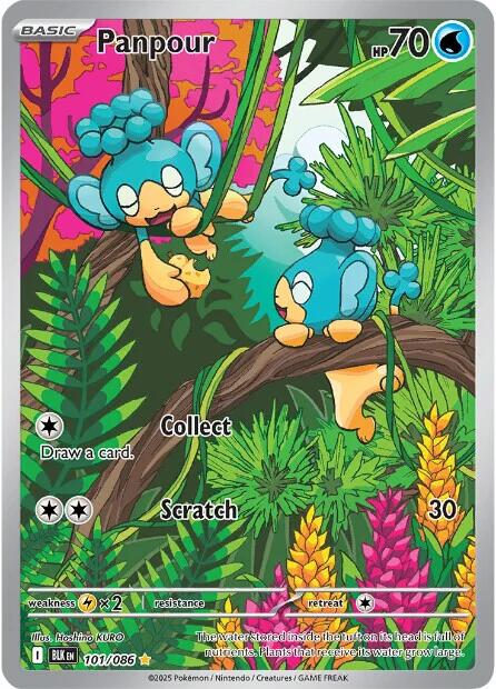 Panpour (105/086) [Scarlet &amp; Violet: Black Bolt] 