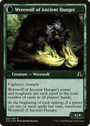Sage of Ancient Lore // Werewolf of Ancient Hunger [Shadows over Innistrad Prerelease Promos] 
