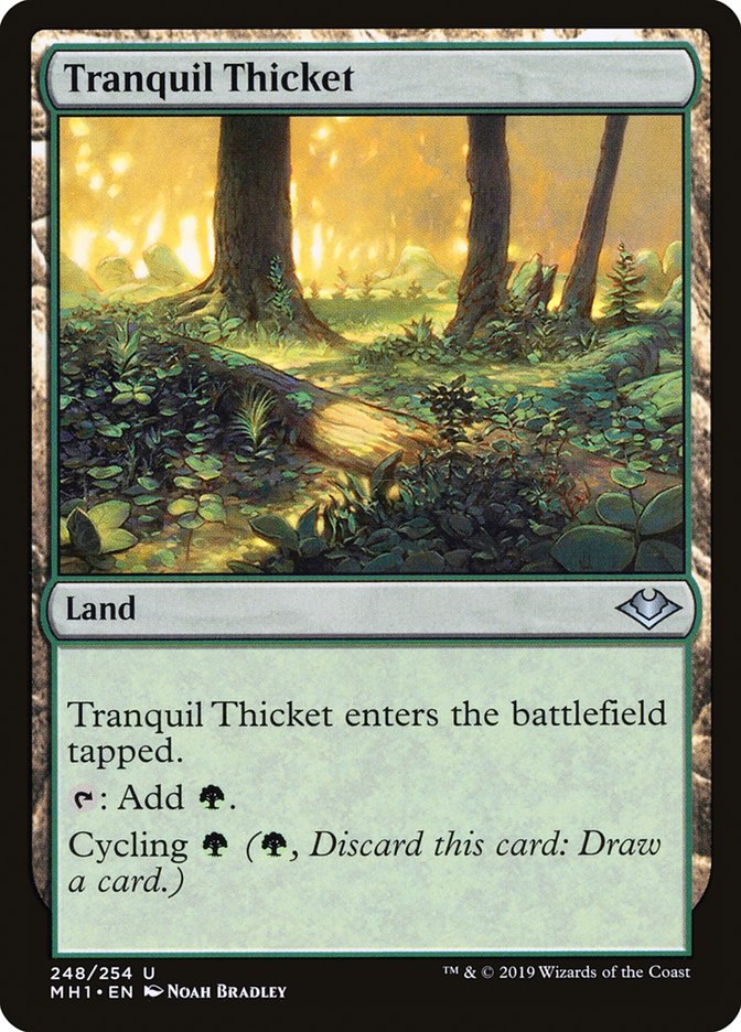 Tranquil Thicket [Modern Horizons] 