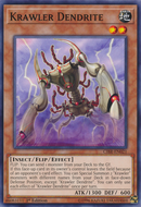 Krawler Dendrite [CIBR-EN021] Common 