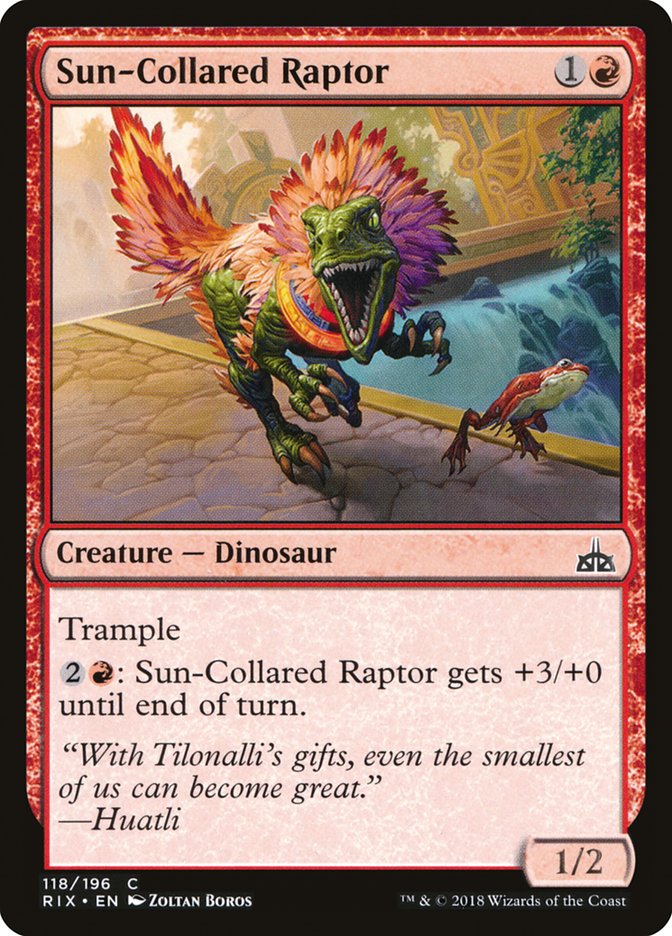 Sun-Collared Raptor [Rivals of Ixalan] 