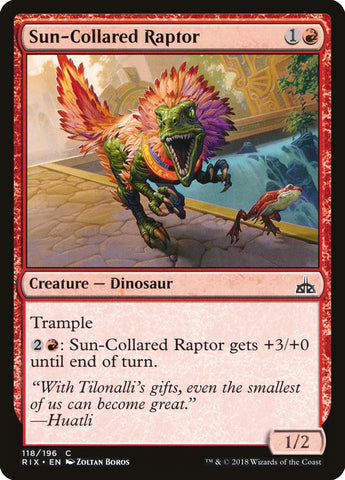 Sun-Collared Raptor [Rivals of Ixalan] 