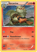 Arcanine (11/122) [XY: BREAKpoint] 