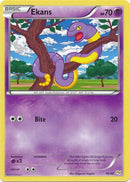 Ekans (16/30) [XY: Trainer Kit - Noivern] 