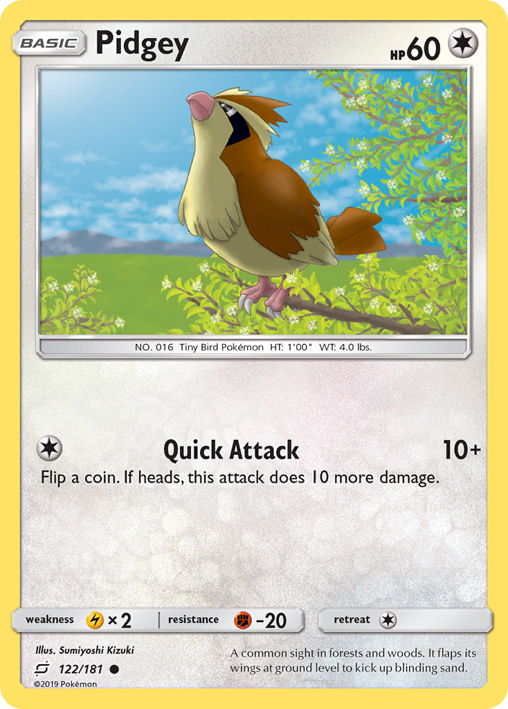 Pidgey (122/181) [Sun &amp; Moon: Team Up] 