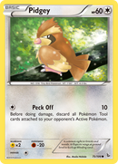 Pidgey (75/106) [XY: Flashfire] 