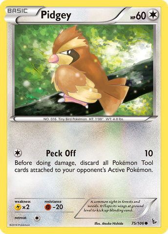 Pidgey (75/106) [XY: Flashfire] 