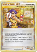 Pokemon Collector (22/30) [HeartGold &amp; SoulSilver: Trainer Kit - Raichu] 
