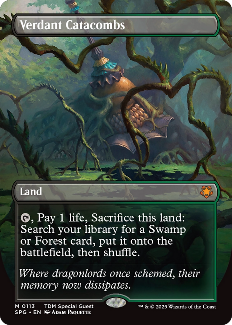 Verdant Catacombs (Borderless) [Tarkir: Dragonstorm Special Guests] 