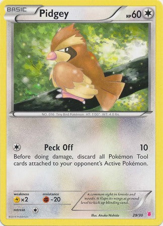 Pidgey (29/30) [XY: Trainer Kit 1 - Wigglytuff] 