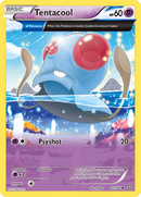 Tentacool (71/160) [XY: Primal Clash] 