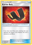Karate Belt (201/236) [Sun &amp; Moon: Unified Minds] 