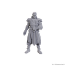 Dungeons &amp; Dragons - Jaheira &amp; Halsin - Mini Figure (Unpainted)