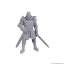 Dungeons &amp; Dragons - Ulder Ravengard &amp; Zevlor - Mini Figure (Unpainted)