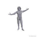 Dungeons &amp; Dragons - Volo &amp; Withers - Mini Figure (Unpainted)