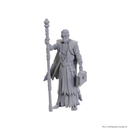 Dungeons &amp; Dragons - Volo &amp; Withers - Mini Figure (Unpainted)