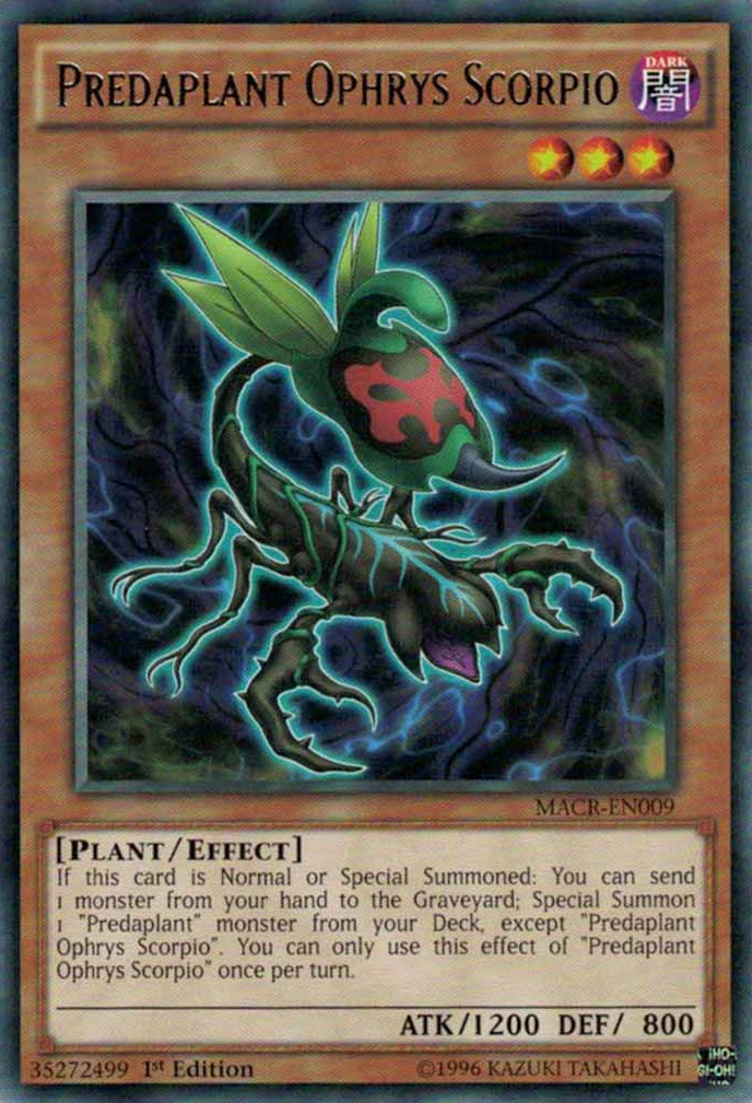 Predaplant Ophrys Scorpio [MACR-EN009] Rare 